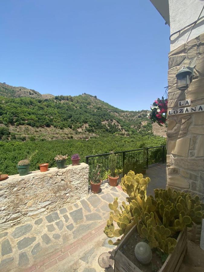 La Lozana - Rio Verde Jete ภายนอก รูปภาพ